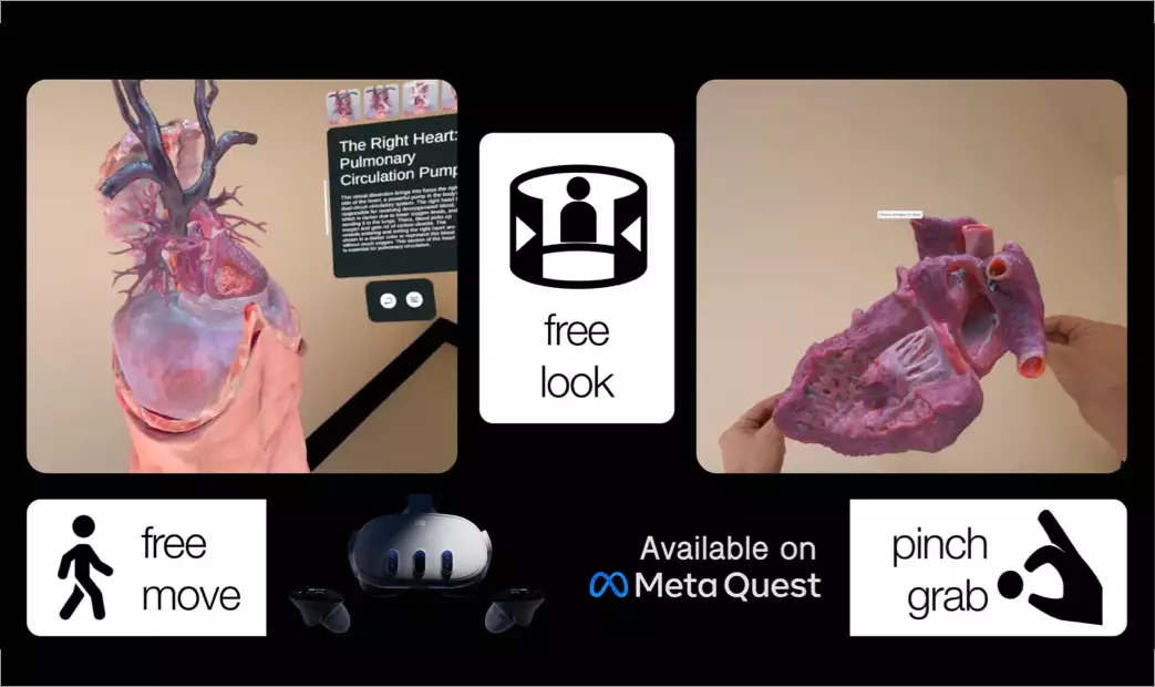 XR Heart Anatomy