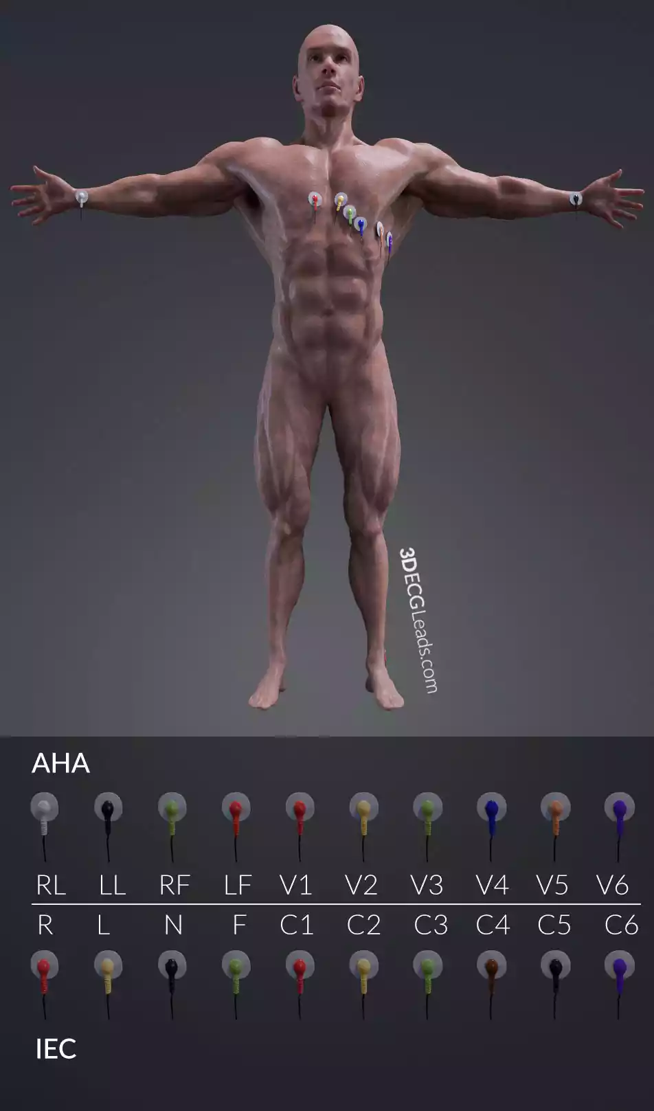 12 lead ecg placement color coded